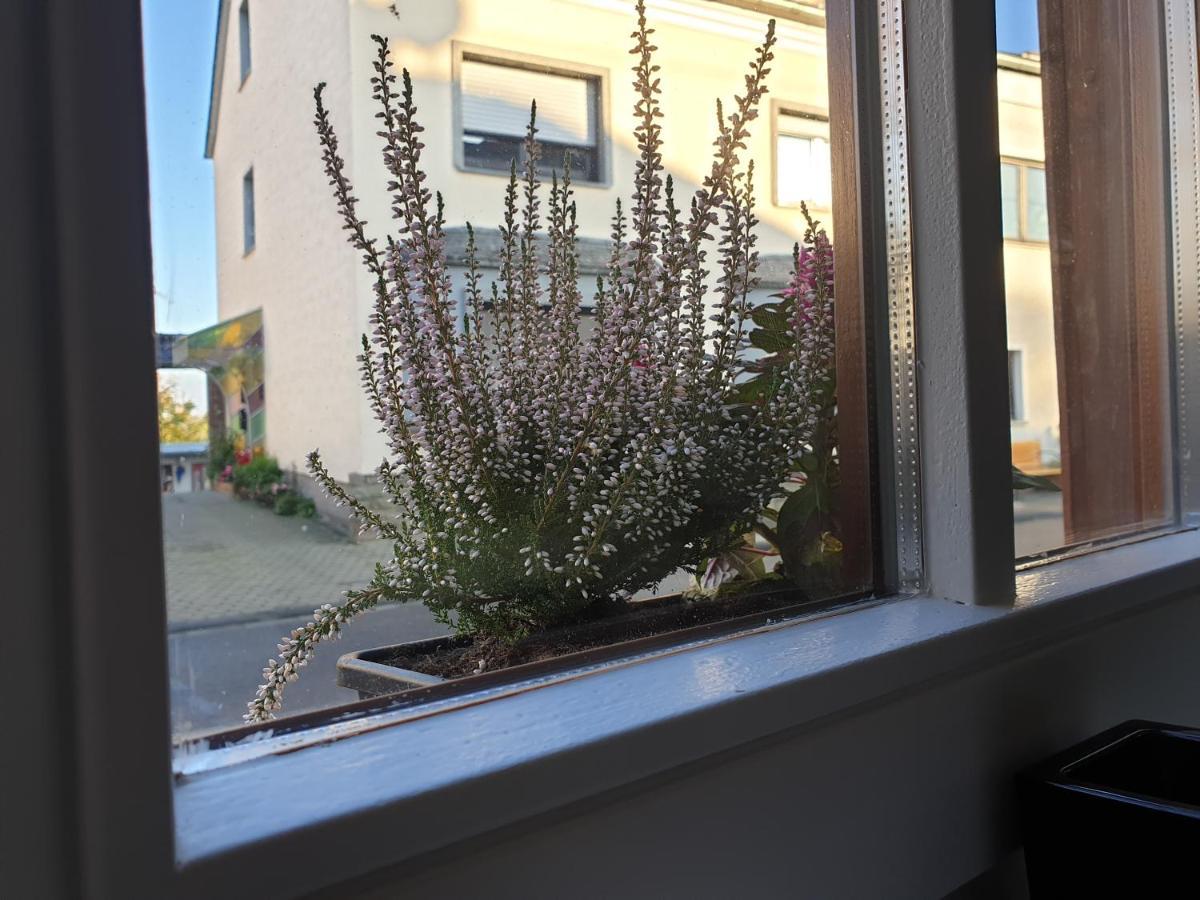 Duex-Hof Apartment Fachwerkhaus Bornheim  Esterno foto